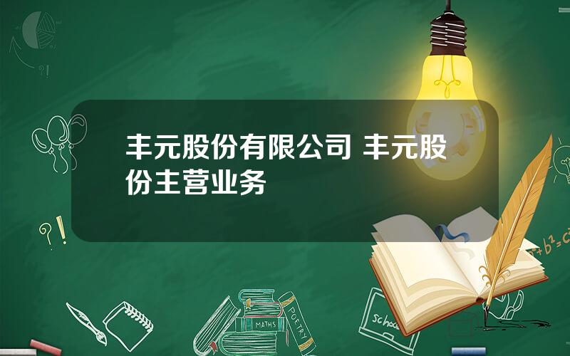 丰元股份有限公司 丰元股份主营业务